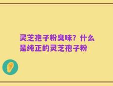 灵芝孢子粉臭味？什么是纯正的灵芝孢子粉