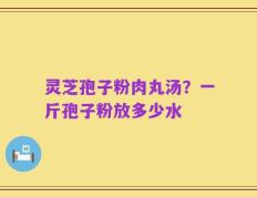 灵芝孢子粉肉丸汤？一斤孢子粉放多少水