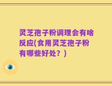 灵芝孢子粉调理会有啥反应(食用灵芝孢子粉有哪些好处？)