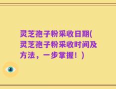 灵芝孢子粉采收日期(灵芝孢子粉采收时间及方法，一步掌握！)