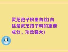 灵芝孢子粉里白丝(白丝是灵芝孢子粉的重要成分，功效强大)