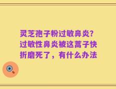 灵芝孢子粉过敏鼻炎？过敏性鼻炎被这蒿子快折磨死了，有什么办法