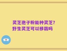 灵芝孢子粉能种灵芝？野生灵芝可以移栽吗