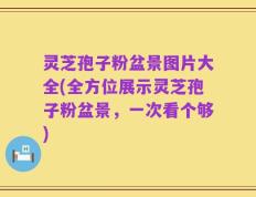 灵芝孢子粉盆景图片大全(全方位展示灵芝孢子粉盆景，一次看个够)