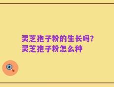灵芝孢子粉的生长吗？灵芝孢子粉怎么种