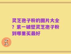 灵芝孢子粉的图片大全？紫一破壁灵芝孢子粉到哪里买最好