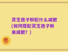 灵芝孢子粉配什么减肥(如何搭配灵芝孢子粉来减肥？)