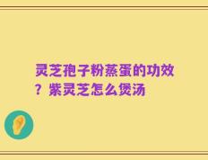 灵芝孢子粉蒸蛋的功效？紫灵芝怎么煲汤
