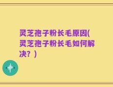 灵芝孢子粉长毛原因(灵芝孢子粉长毛如何解决？)