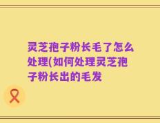 灵芝孢子粉长毛了怎么处理(如何处理灵芝孢子粉长出的毛发
