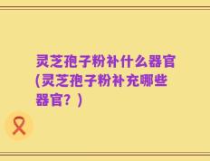 灵芝孢子粉补什么器官(灵芝孢子粉补充哪些器官？)