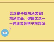 灵芝孢子粉鸡汤文案(鸡汤佳品，健康之选——纯正灵芝孢子粉鸡汤)