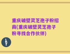 重庆破壁灵芝孢子粉招商(重庆破壁灵芝孢子粉寻找合作伙伴)