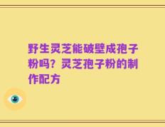 野生灵芝能破壁成孢子粉吗？灵芝孢子粉的制作配方