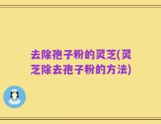 去除孢子粉的灵芝(灵芝除去孢子粉的方法)