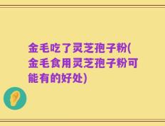 金毛吃了灵芝孢子粉(金毛食用灵芝孢子粉可能有的好处)