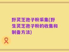 野灵芝孢子粉采集(野生灵芝孢子粉的收集和制备方法)