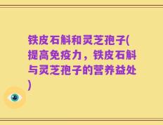 铁皮石斛和灵芝孢子(提高免疫力，铁皮石斛与灵芝孢子的营养益处)