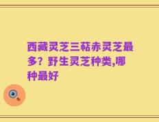 西藏灵芝三萜赤灵芝最多？野生灵芝种类,哪种最好