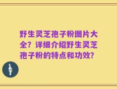 野生灵芝孢子粉图片大全？详细介绍野生灵芝孢子粉的特点和功效？