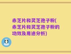 赤芝片和灵芝孢子粉(赤芝片和灵芝孢子粉的功效及用途分析)