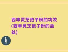 西丰灵芝孢子粉的功效(西丰灵芝孢子粉的益处)