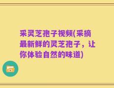 采灵芝孢子视频(采摘最新鲜的灵芝孢子，让你体验自然的味道)