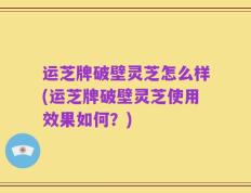 运芝牌破壁灵芝怎么样(运芝牌破壁灵芝使用效果如何？)