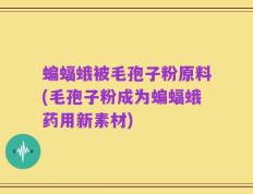 蝙蝠蛾被毛孢子粉原料(毛孢子粉成为蝙蝠蛾药用新素材)