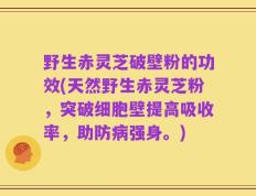 野生赤灵芝破壁粉的功效(天然野生赤灵芝粉，突破细胞壁提高吸收率，助防病强身。)