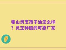 霍山灵芝孢子油怎么样？灵芝种植的可靠厂家