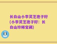 长白山小李灵芝孢子籽(小李灵芝孢子籽：长白山珍稀宝藏)