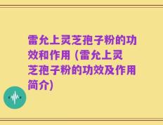 雷允上灵芝孢子粉的功效和作用 (雷允上灵芝孢子粉的功效及作用简介)