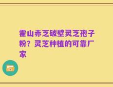 霍山赤芝破壁灵芝孢子粉？灵芝种植的可靠厂家