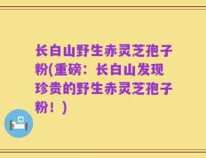 长白山野生赤灵芝孢子粉(重磅：长白山发现珍贵的野生赤灵芝孢子粉！)