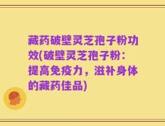 藏药破壁灵芝孢子粉功效(破壁灵芝孢子粉：提高免疫力，滋补身体的藏药佳品)