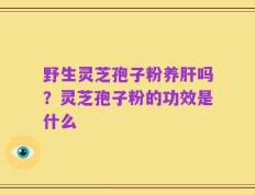 野生灵芝孢子粉养肝吗？灵芝孢子粉的功效是什么