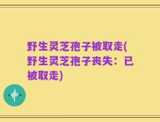 野生灵芝孢子被取走(野生灵芝孢子丧失：已被取走)
