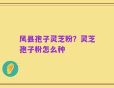风县孢子灵芝粉？灵芝孢子粉怎么种