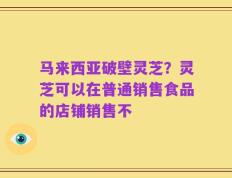 马来西亚破壁灵芝？灵芝可以在普通销售食品的店铺销售不