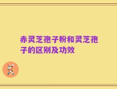 赤灵芝孢子粉和灵芝孢子的区别及功效