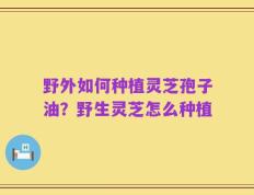 野外如何种植灵芝孢子油？野生灵芝怎么种植