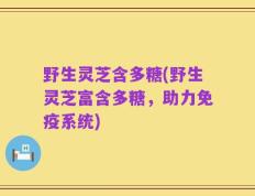 野生灵芝含多糖(野生灵芝富含多糖，助力免疫系统)