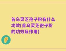 首乌灵芝孢子粉有什么功效(首乌灵芝孢子粉的功效及作用)