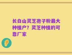 长白山灵芝孢子粉最大种植户？灵芝种植的可靠厂家