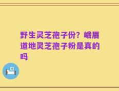 野生灵芝孢子份？峨眉道地灵芝孢子粉是真的吗