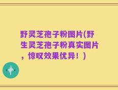 野灵芝孢子粉图片(野生灵芝孢子粉真实图片，惊叹效果优异！)