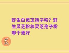 野生白灵芝孢子粉？野生灵芝粉和灵芝孢子粉哪个更好
