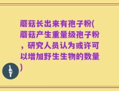 蘑菇长出来有孢子粉(蘑菇产生重量级孢子粉，研究人员认为或许可以增加野生生物的数量)