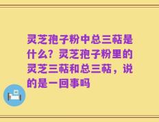 灵芝孢子粉中总三萜是什么？灵芝孢子粉里的灵芝三萜和总三萜，说的是一回事吗